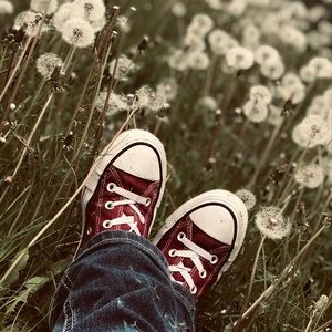 Meet your Posher, Casey